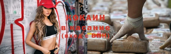 молекула духа Няндома