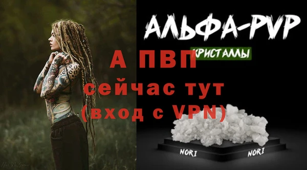 молекула духа Няндома