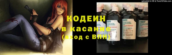 молекула духа Няндома