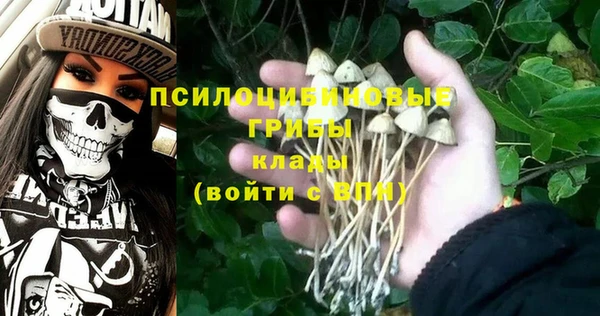 прущая мука Нязепетровск