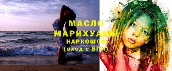 молекула духа Няндома