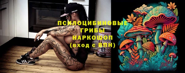 молекула духа Няндома
