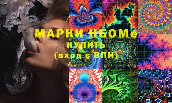 молекула духа Няндома