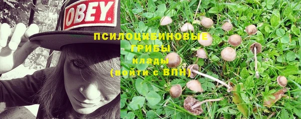 прущая мука Нязепетровск