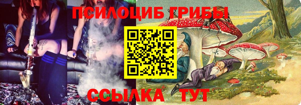 Псилоцибиновые грибы Psilocybe  Екатеринбург 