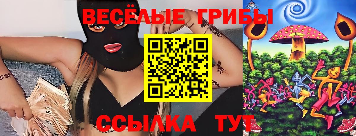 Псилоцибиновые грибы Cubensis Екатеринбург