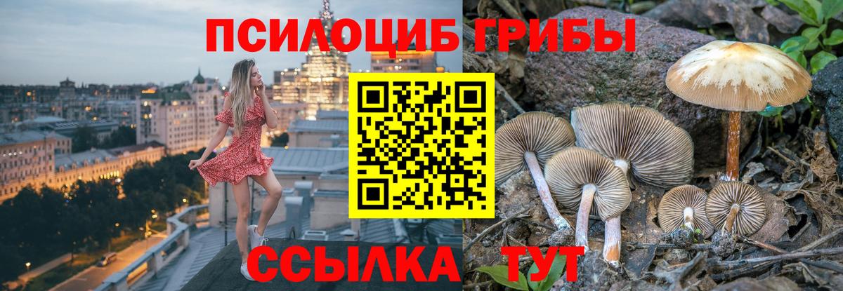 цены   Вход с VPN  Псилоцибиновые грибы MAGIC MUSHROOMS  Екатеринбург  Псилоцибиновые грибы MAGIC MUSHROOMS 