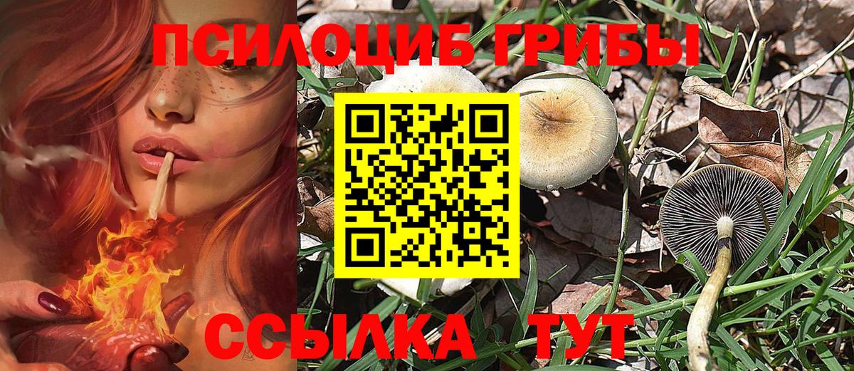 Галлюциногенные грибы Cubensis Екатеринбург